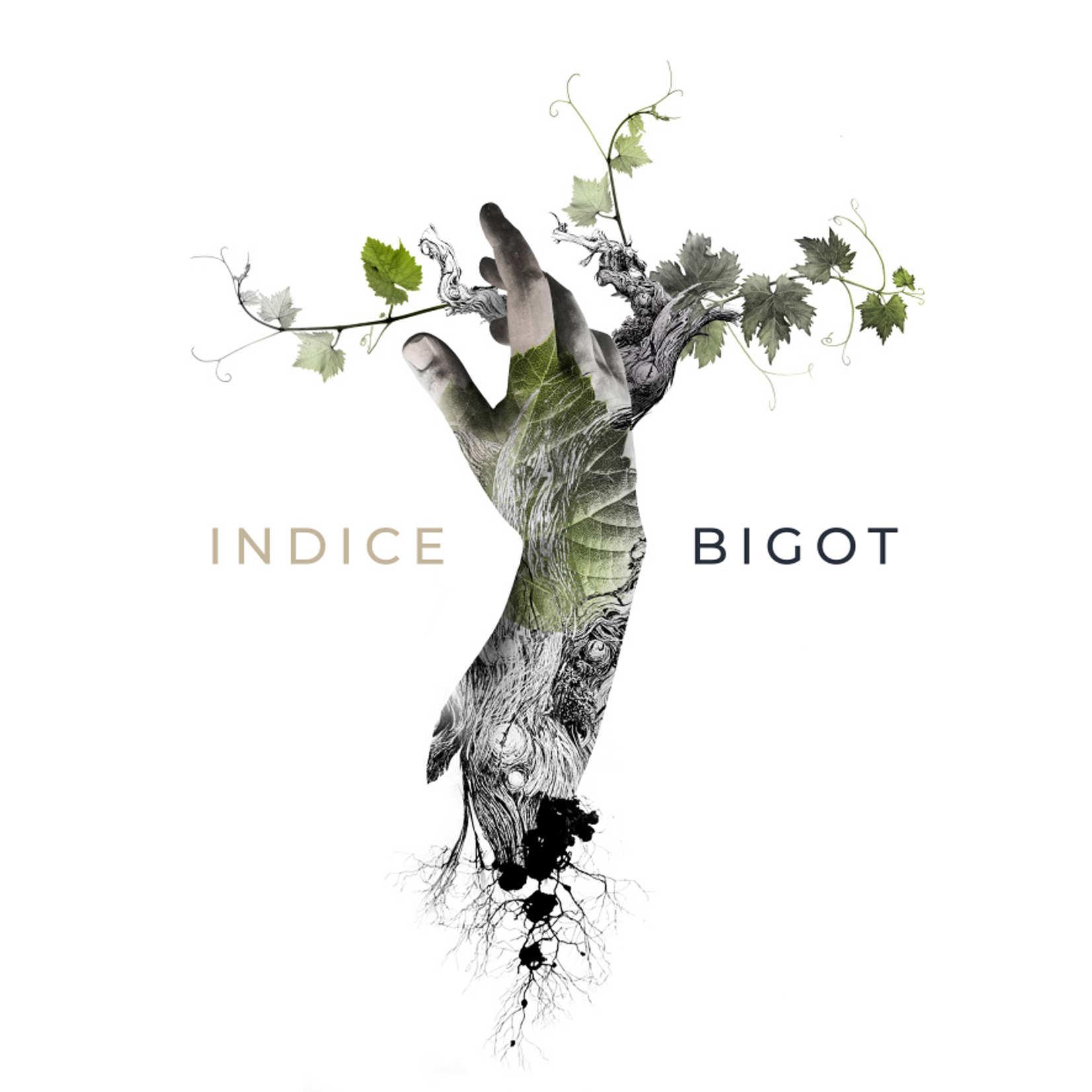 The scores of the Bigot Index