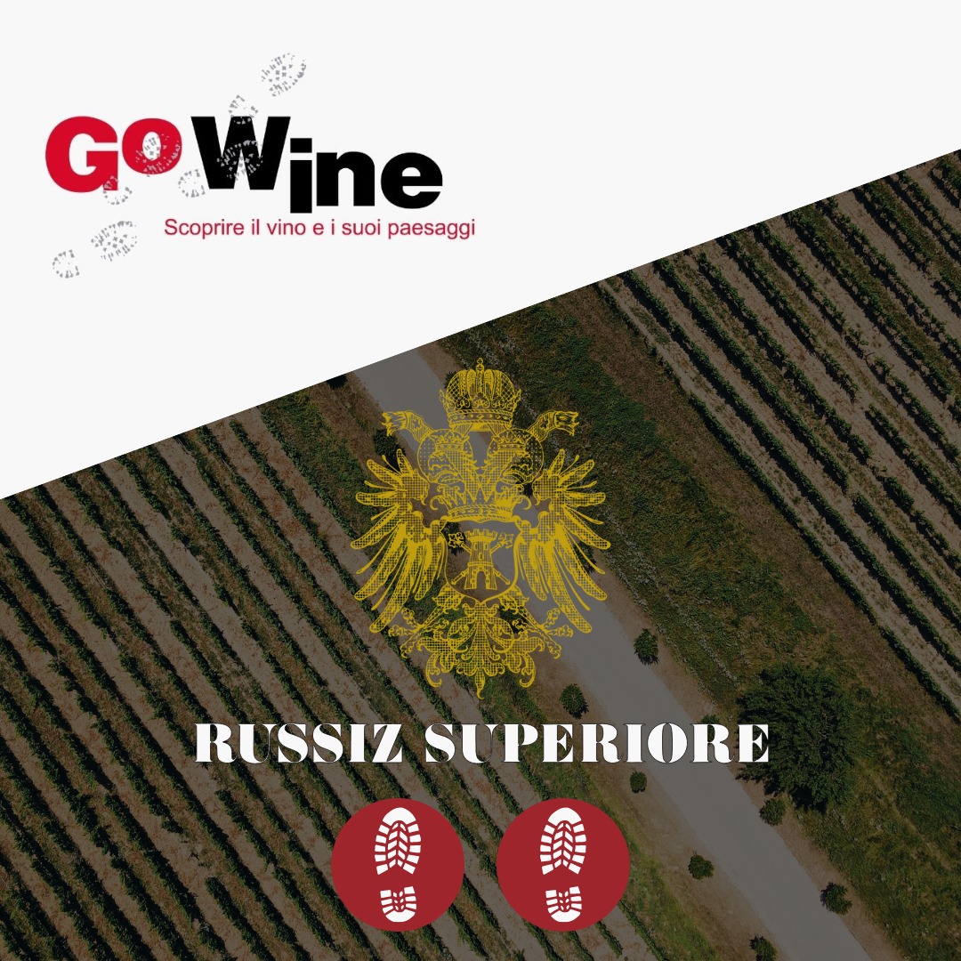 The GoWine Guide