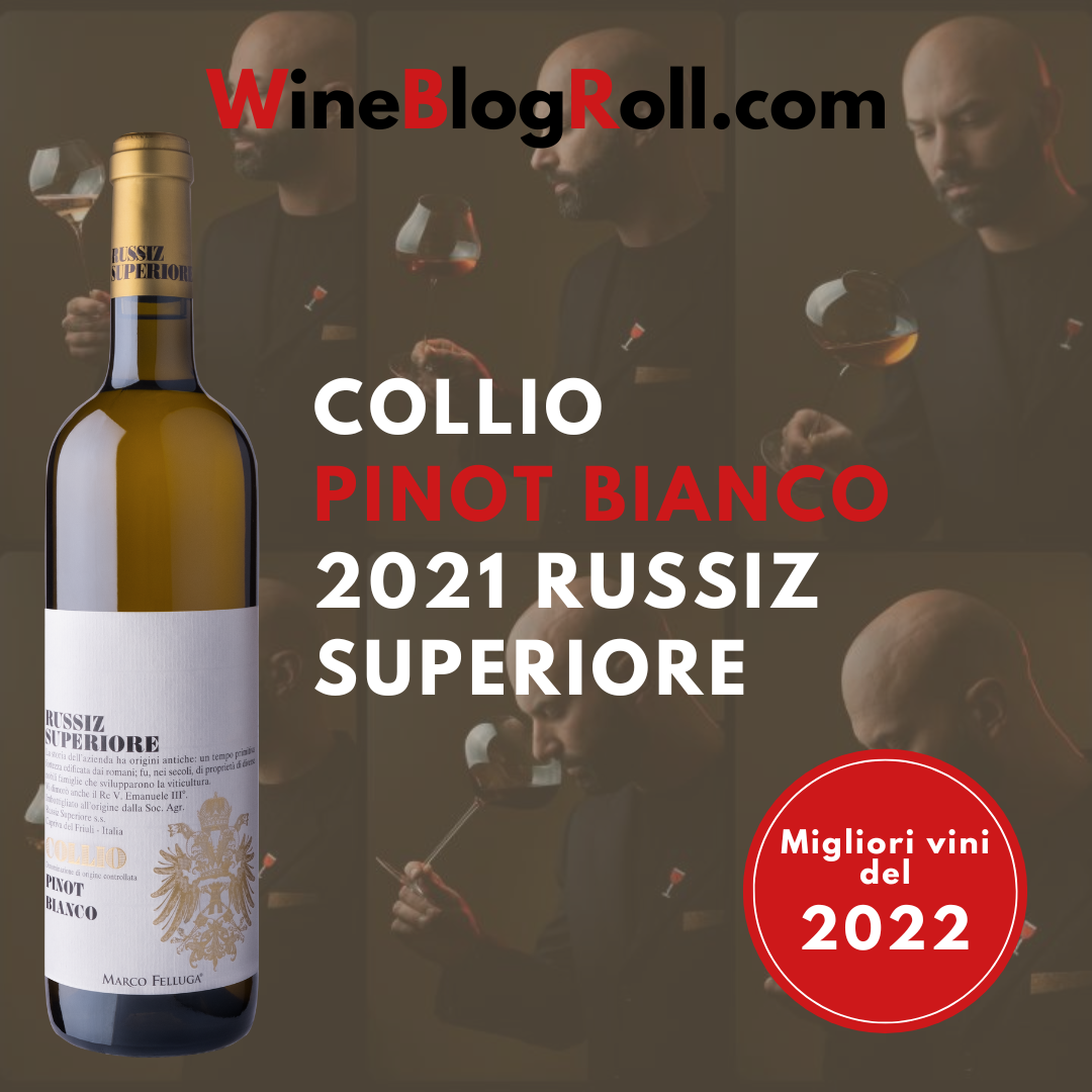 I migliori vini assaggiati nel 2022