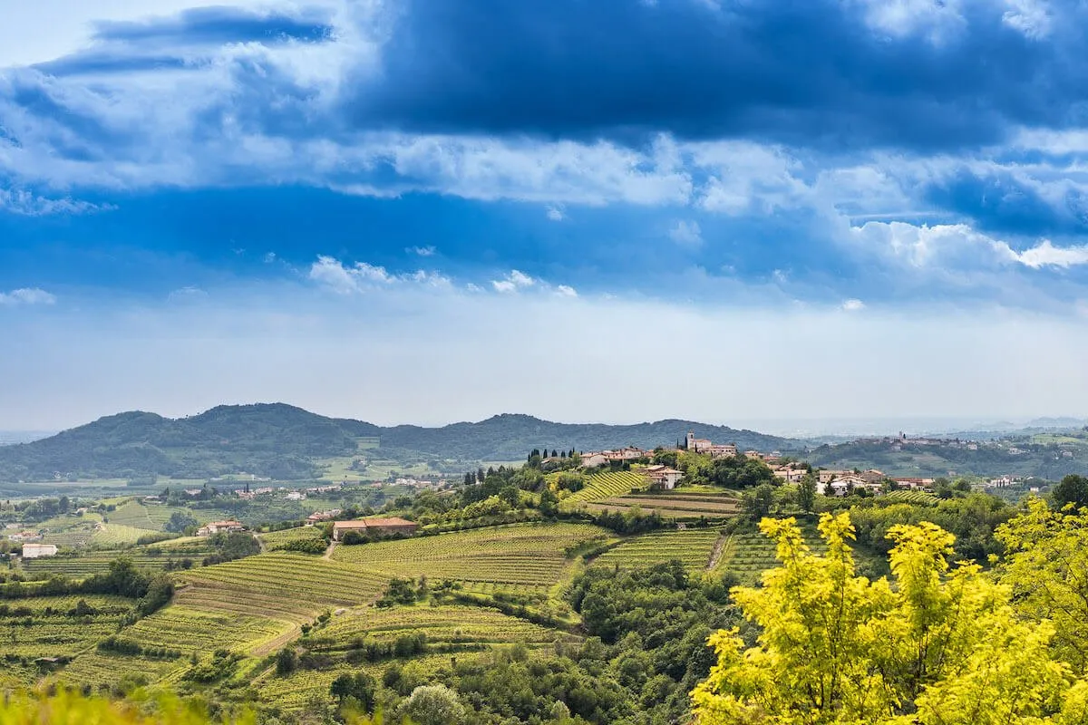 Collio: un universo di longevità in bianco tutto da scoprire