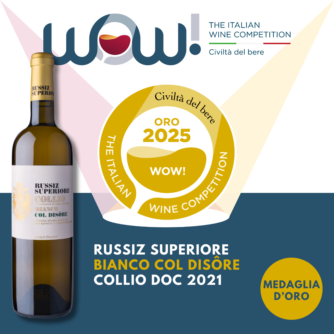 Medaglia d’Oro WOW!2025
